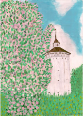 Цюра Нина Николаевна «Вологодская башня» 63 года